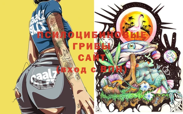 эйфоретик Белокуриха