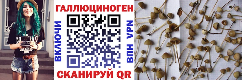 даркнет сайт  Горячеводский  Галлюциногенные грибы Magic Shrooms 